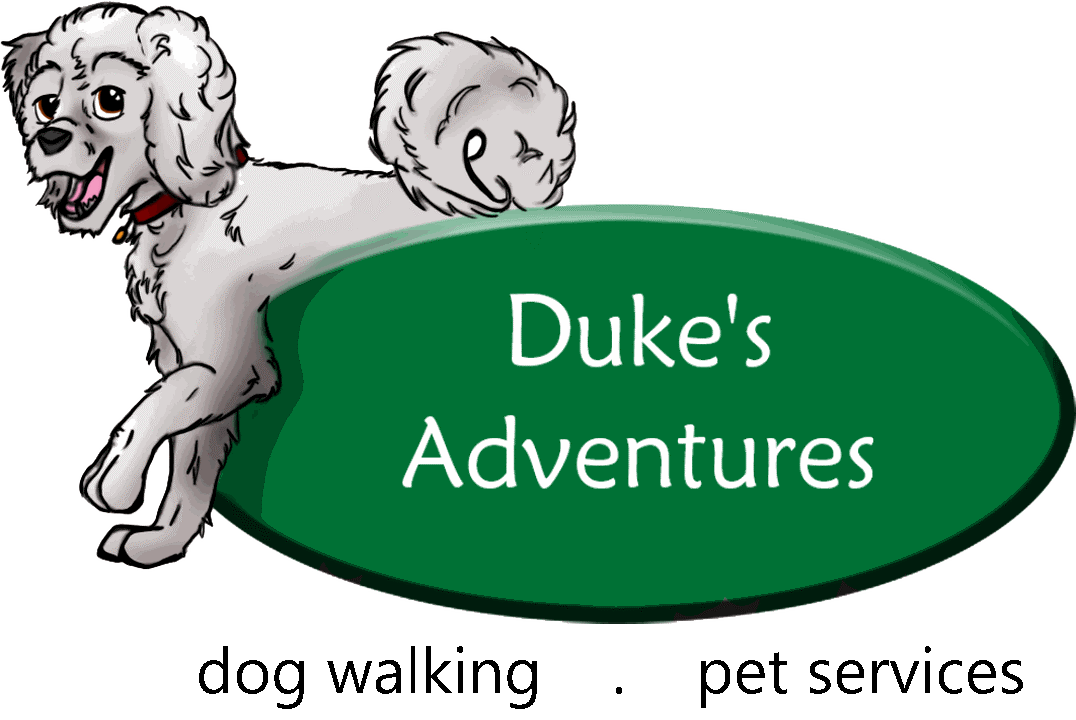 Duke's Adventures